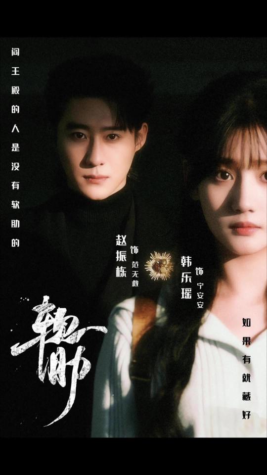软肋海报