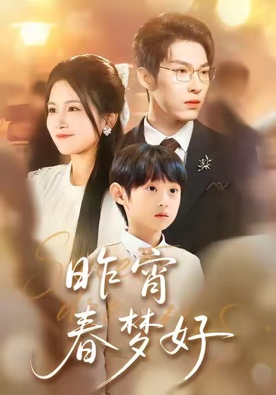 昨宵春梦好海报