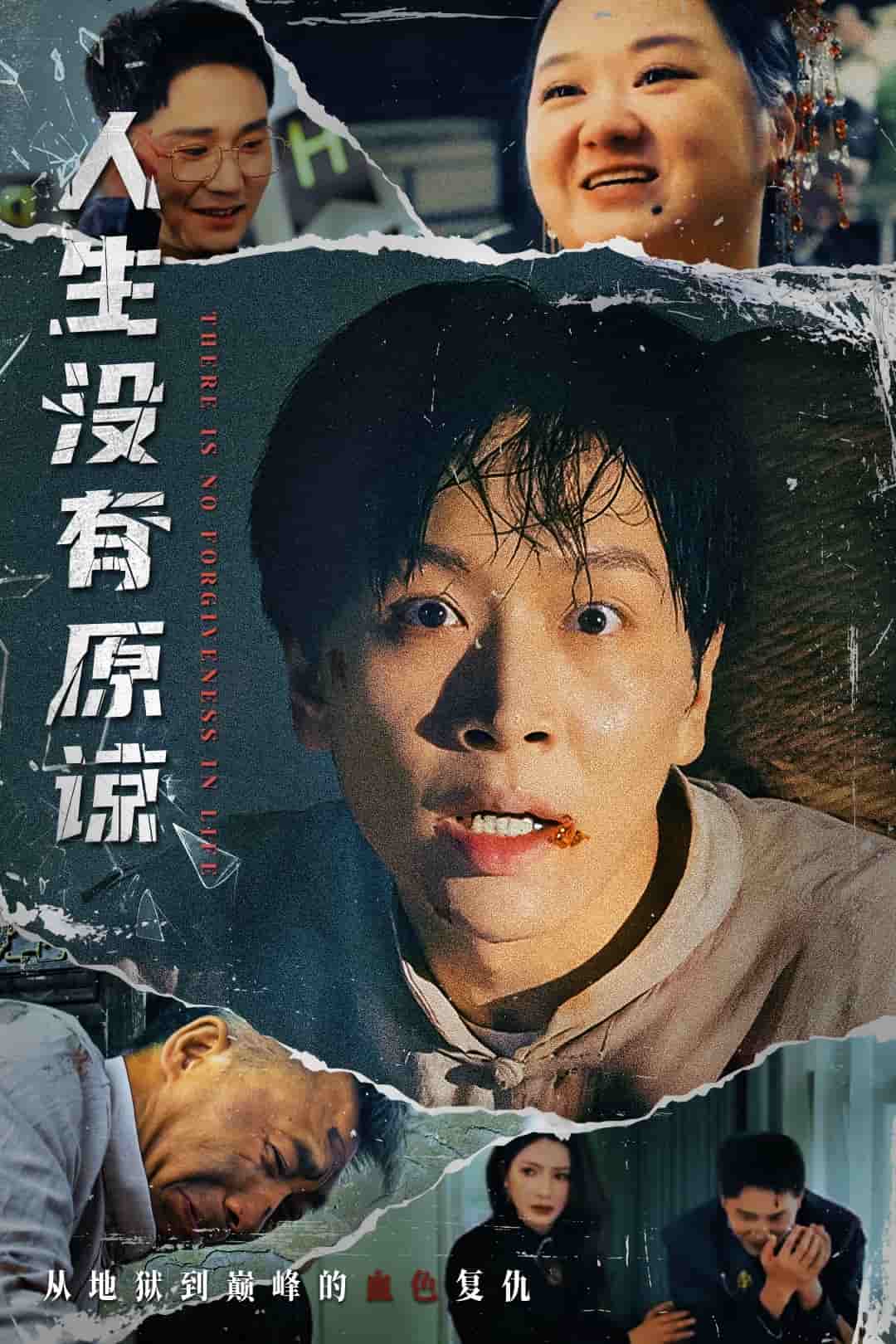 人生没有原谅海报