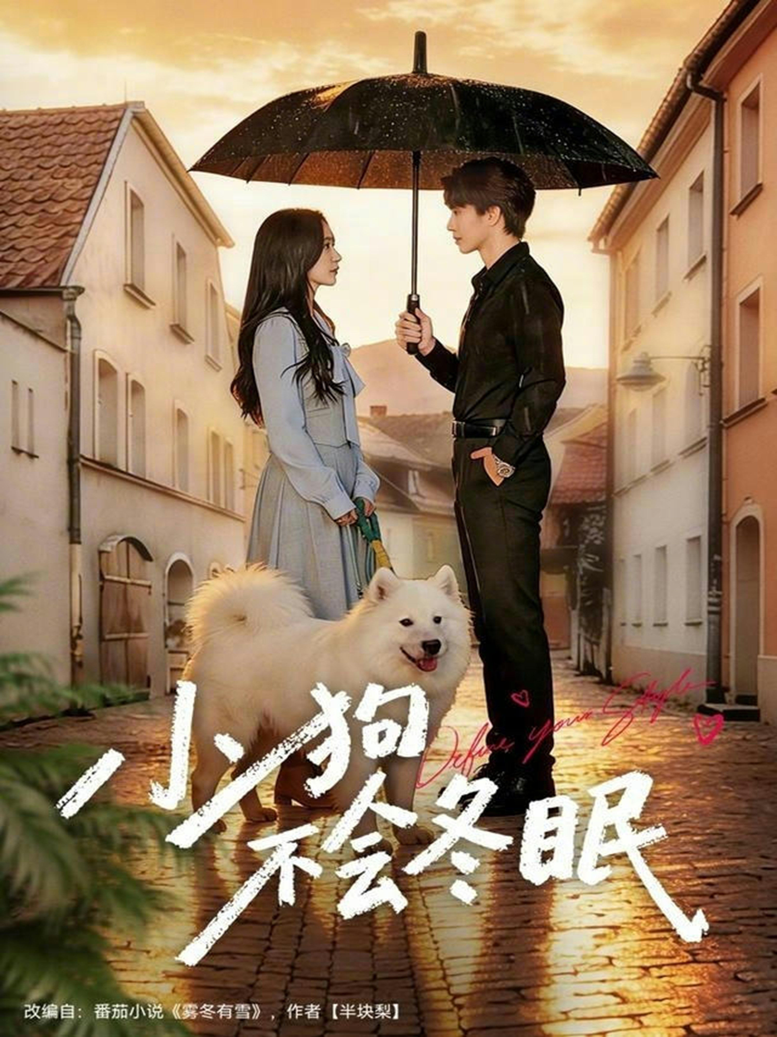 小狗不会冬眠海报