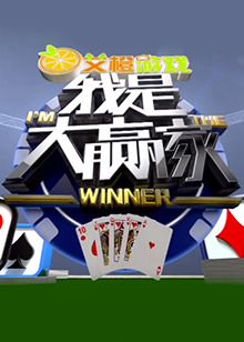 我是大赢家2012海报