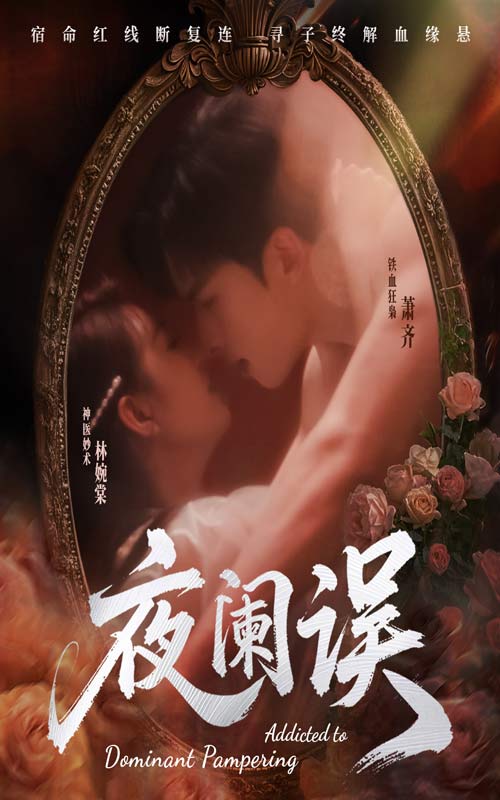 夜阑误海报