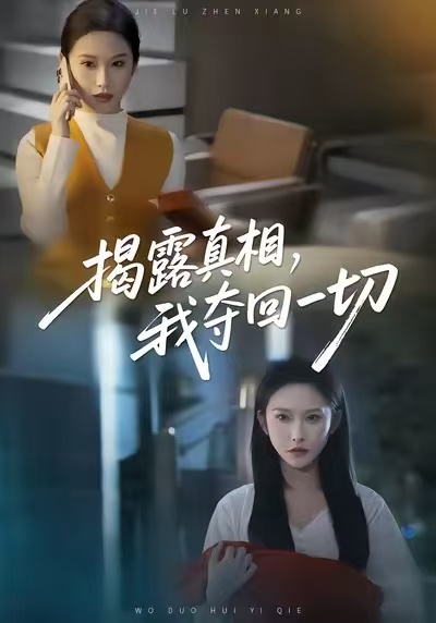 揭露真相，我夺回一切海报