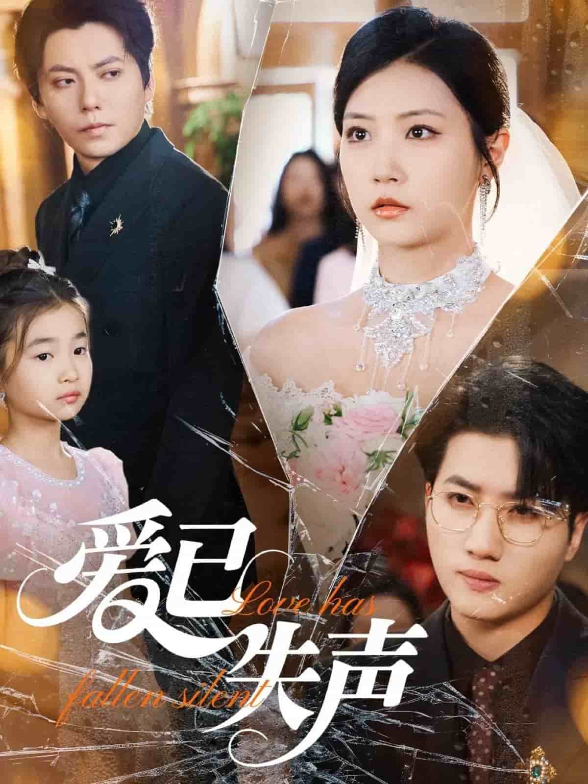 爱已失声海报