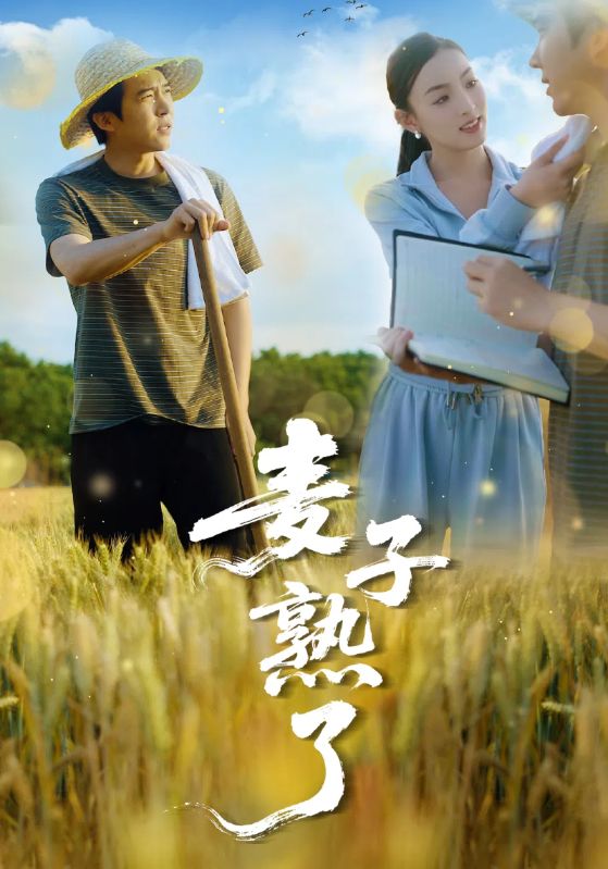 麦子熟了海报