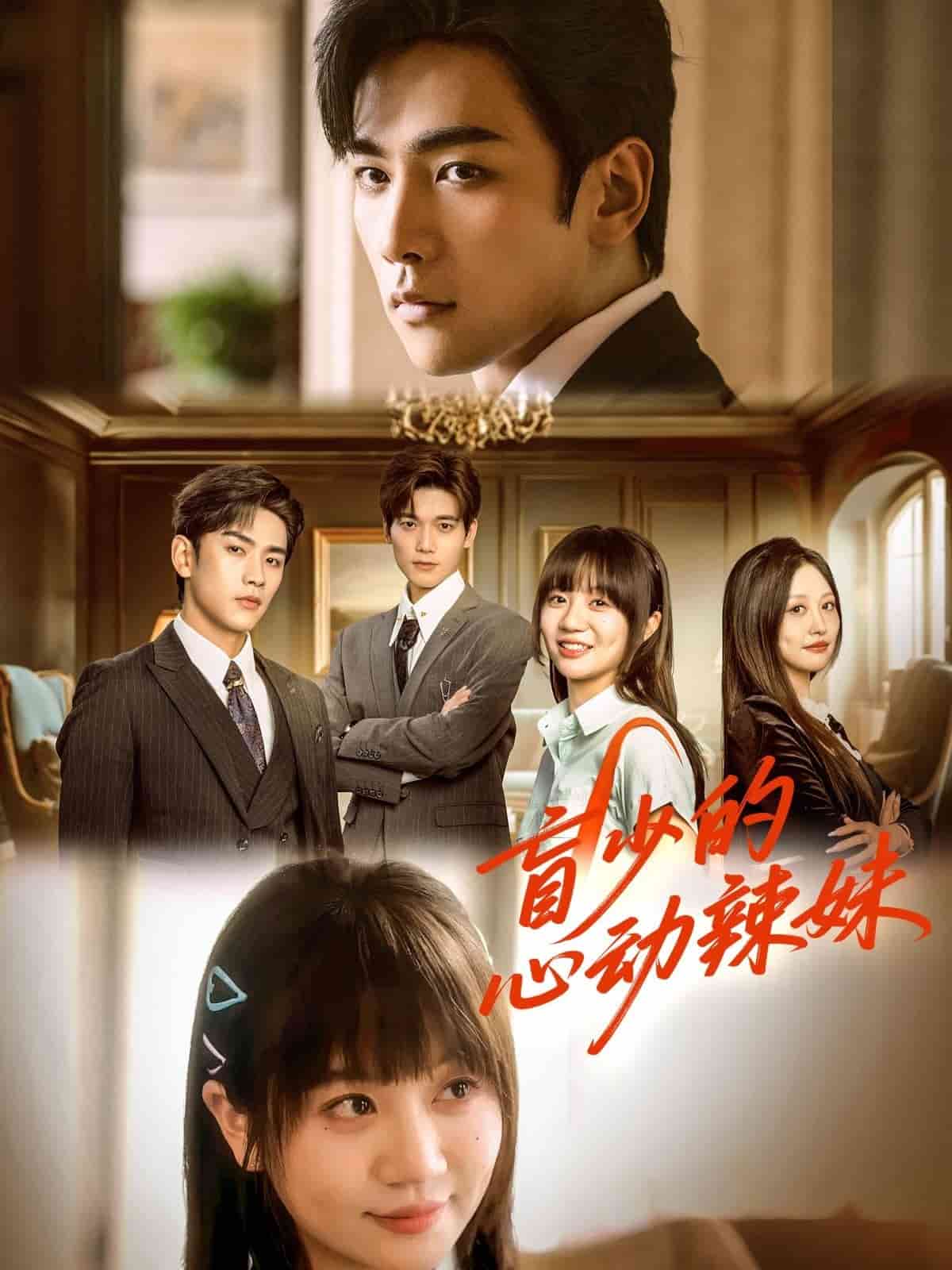 盲少的心动辣妹海报