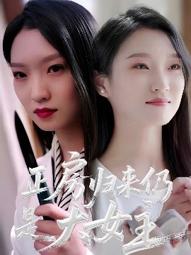 正房归来仍是大女主海报