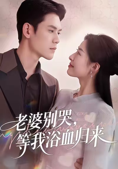 老婆别哭，等我浴血归来海报