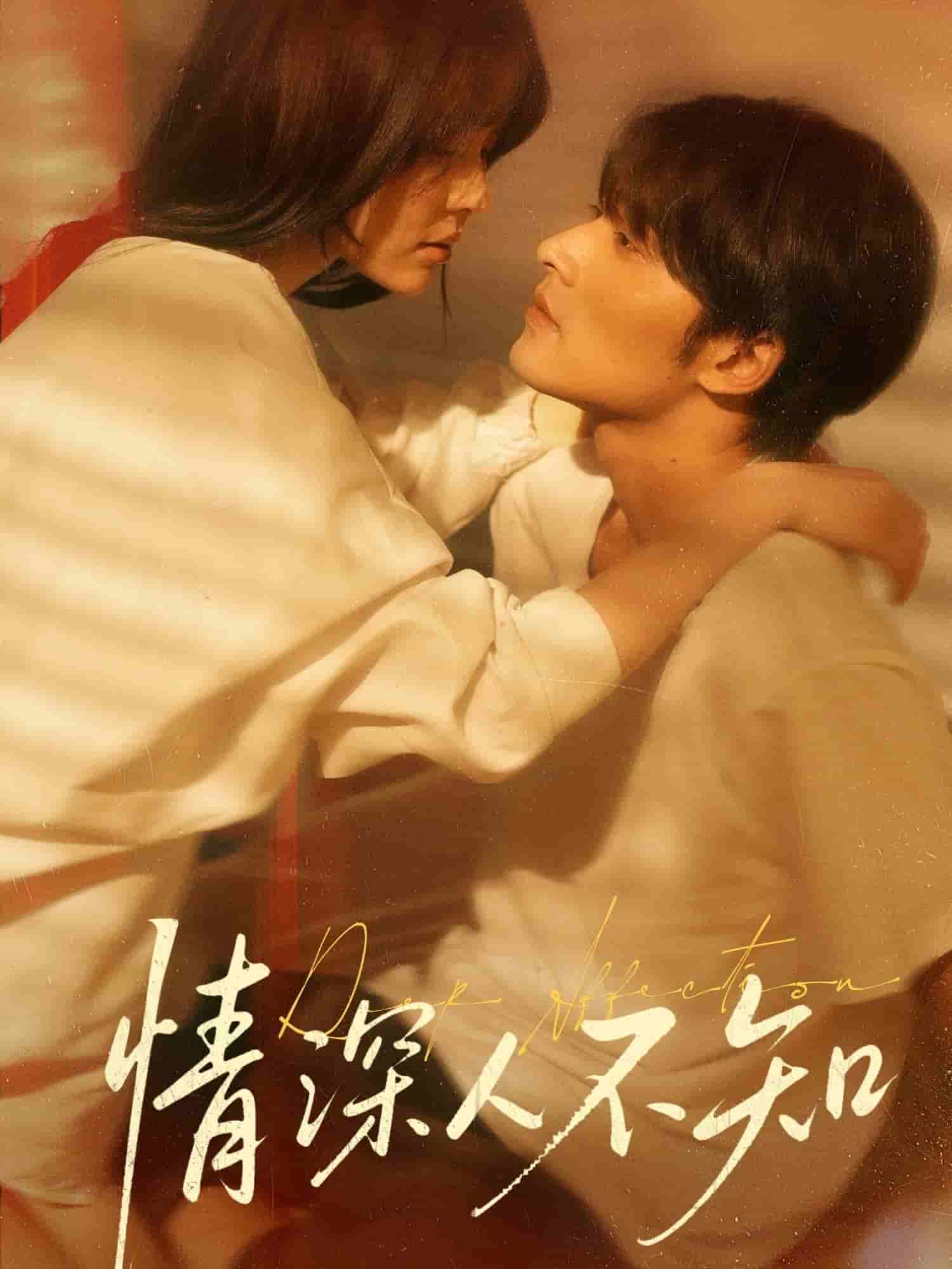 情深人不知海报