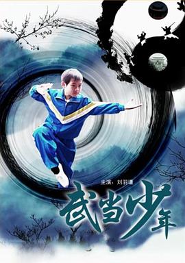 武当少年海报