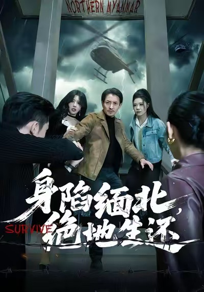 身陷缅北，绝地生还海报