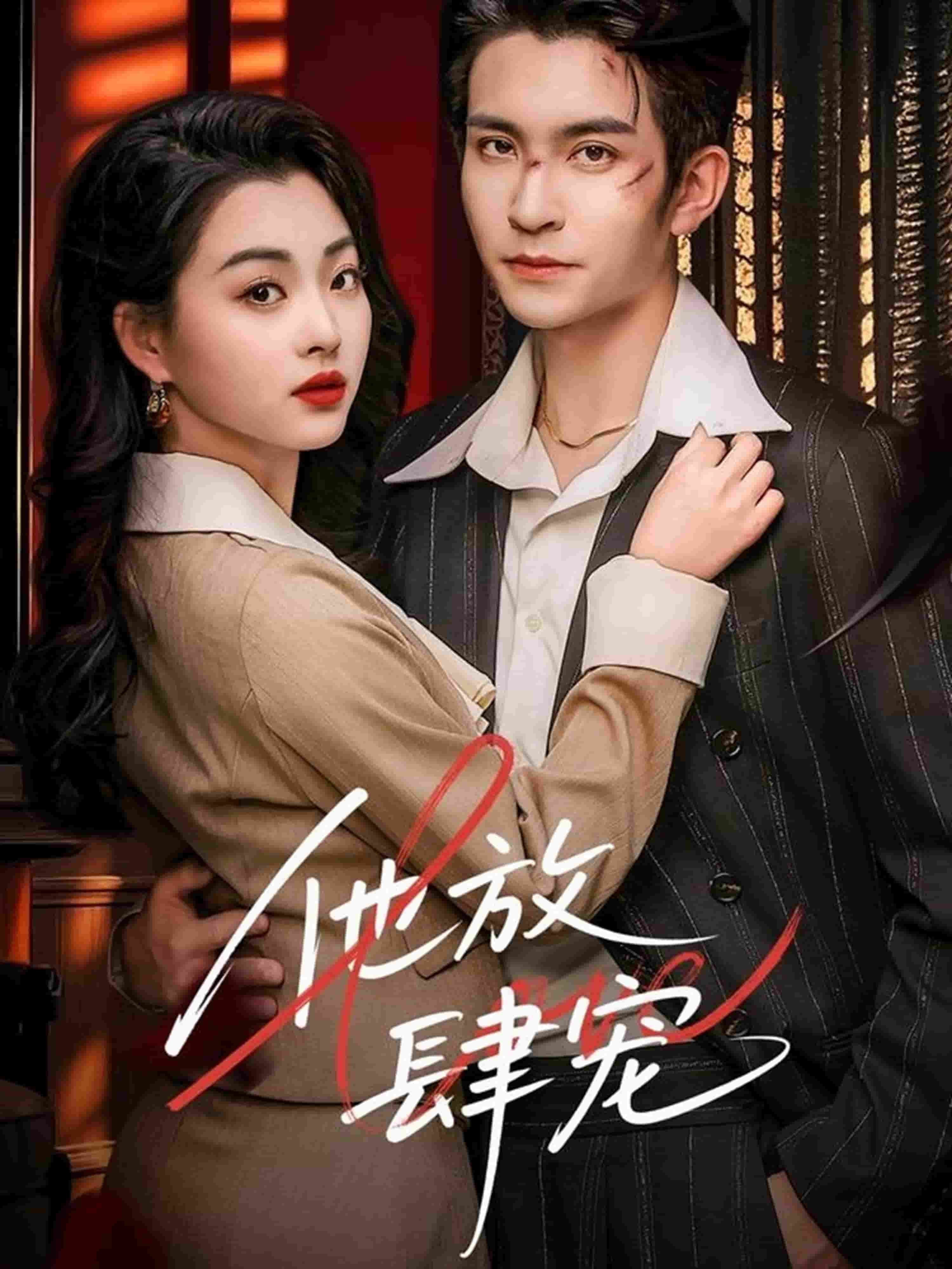 他放肆宠海报