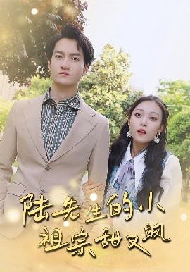 陆先生的小祖宗甜又飒落魄千金的逆袭恋曲海报