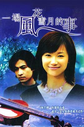 一把意大利小提琴海报