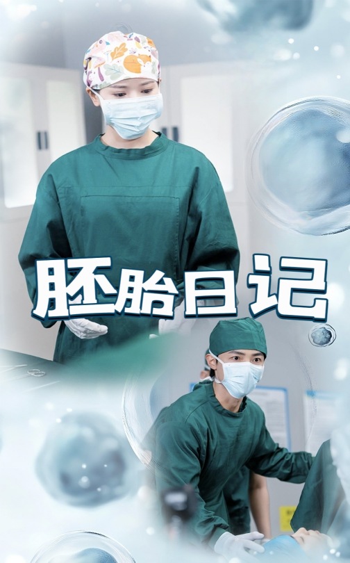 胚胎日记海报