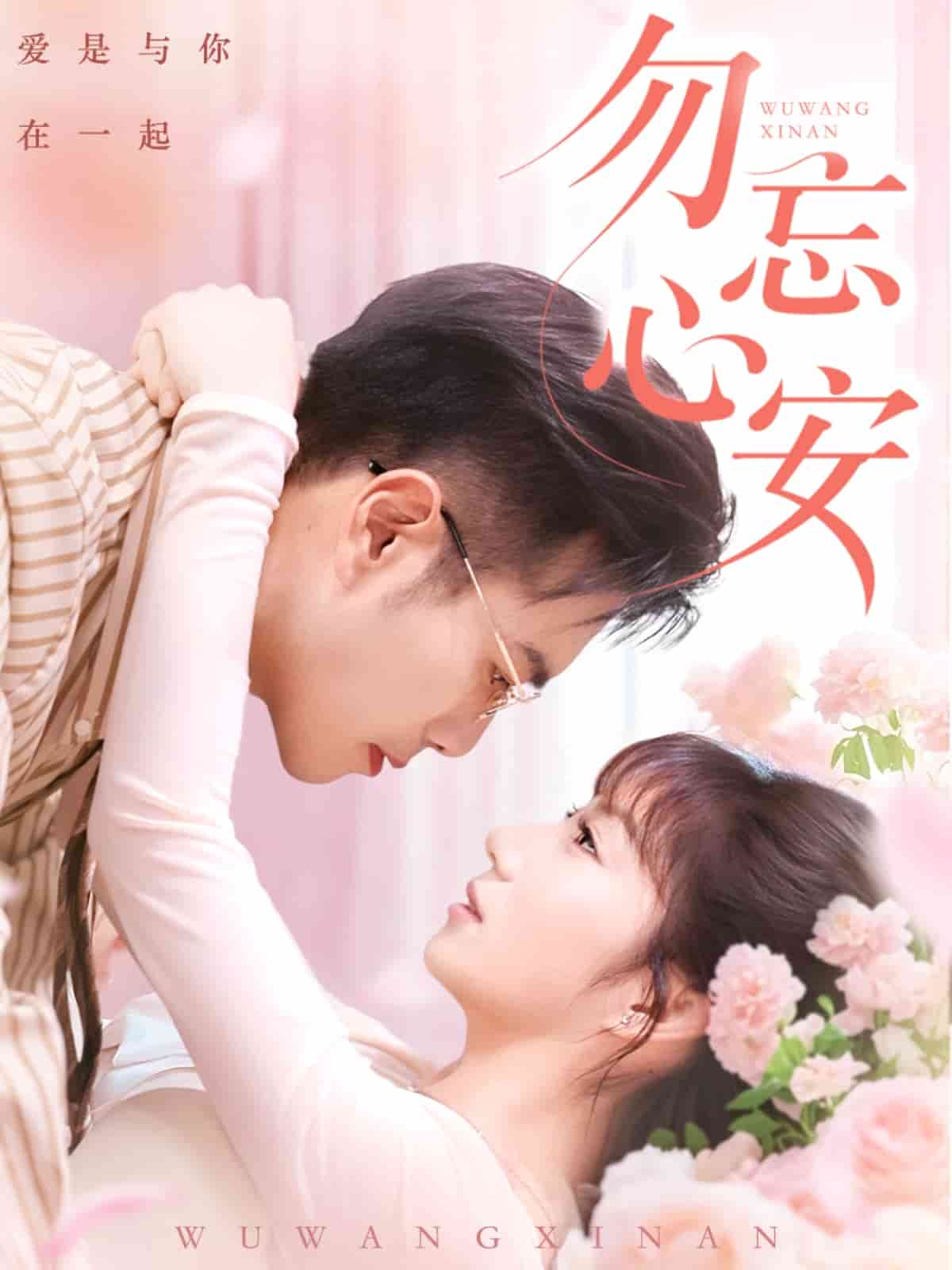 勿忘心安海报