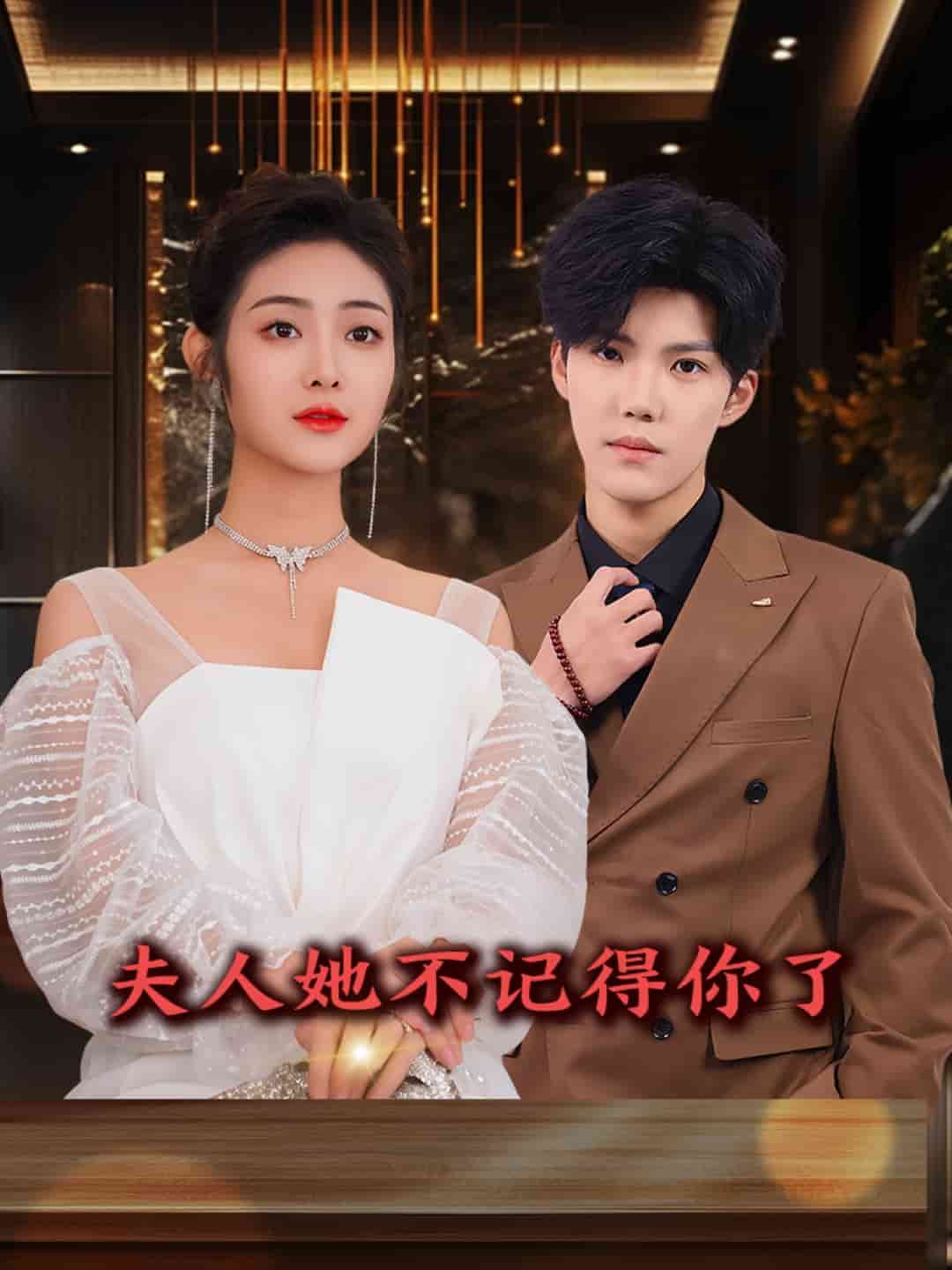 夫人她不记得你了海报