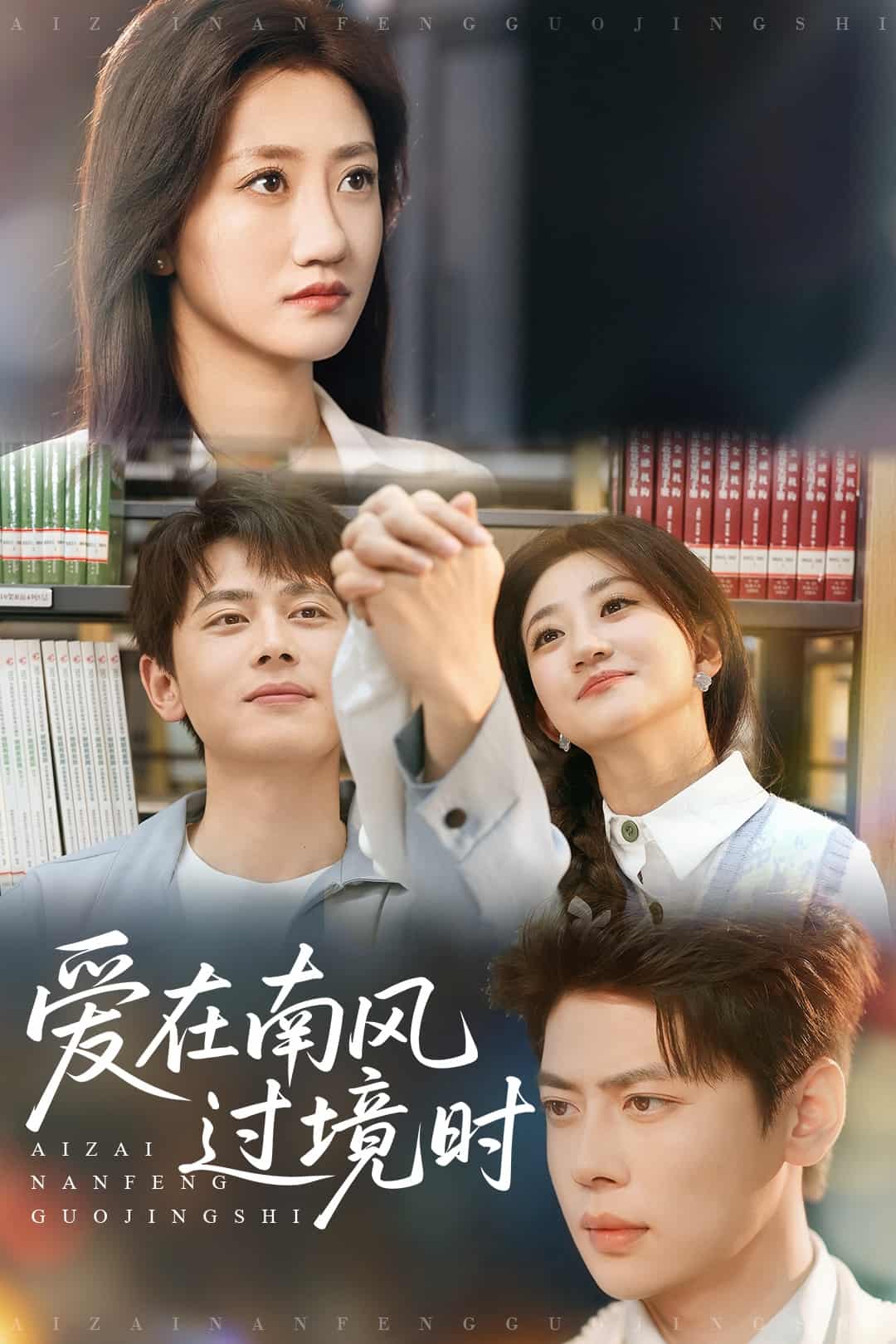 爱在南风过境时海报