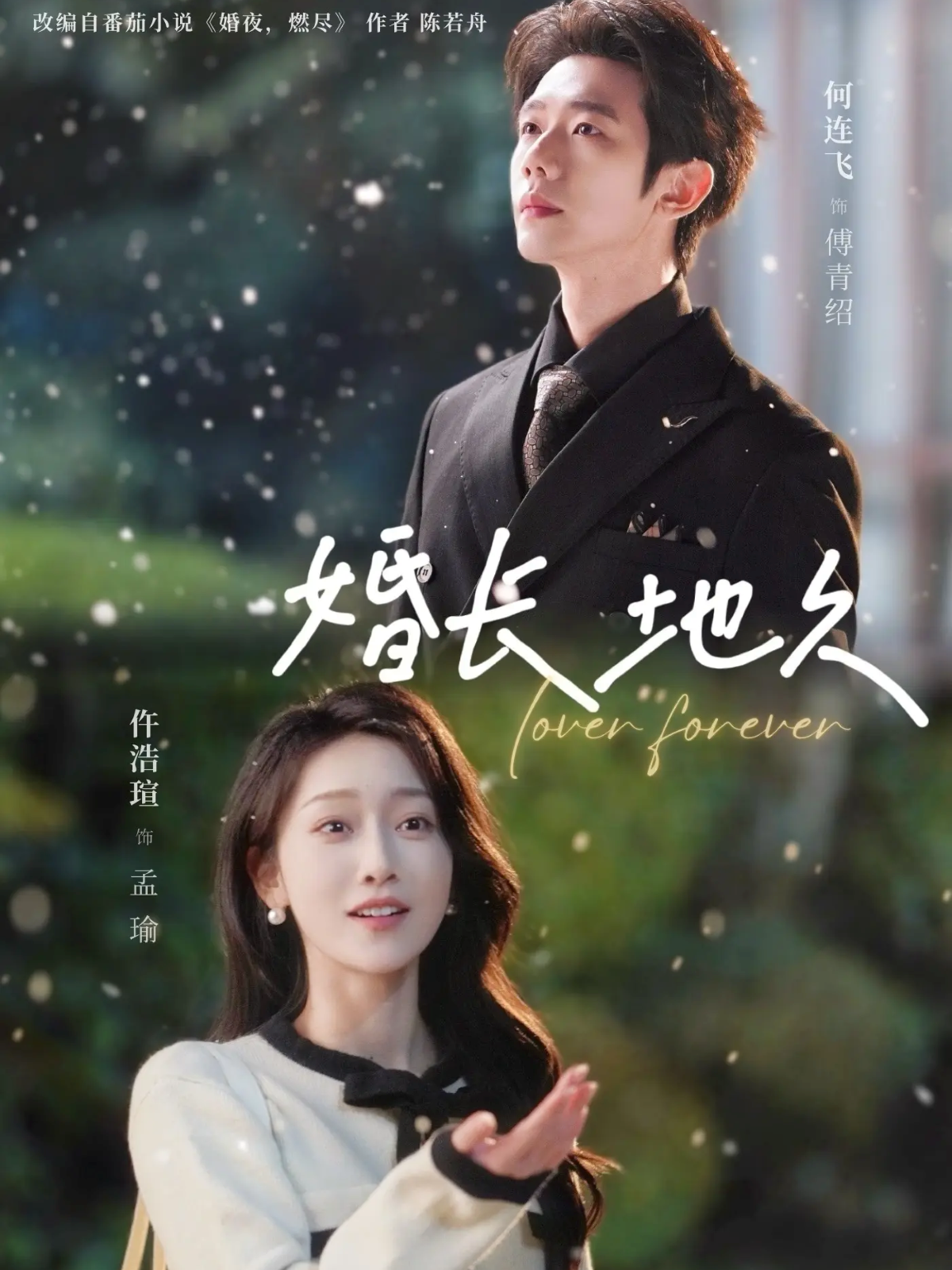 婚长地久海报