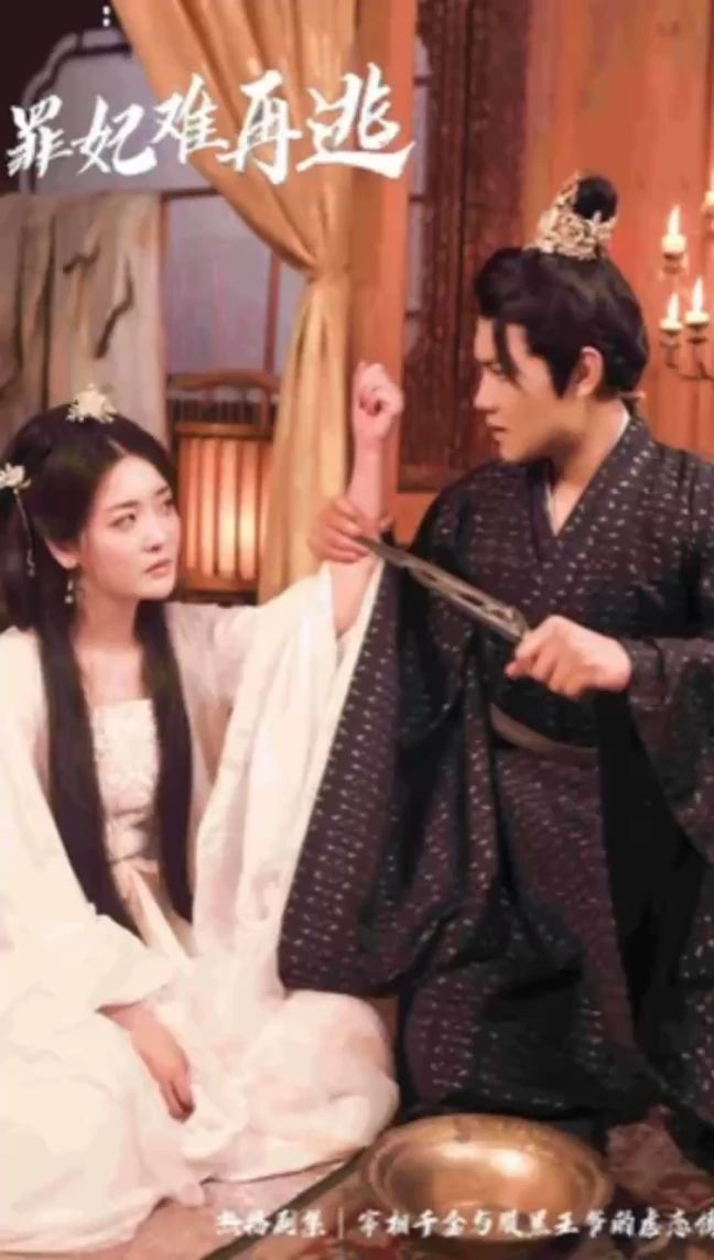 只愿从来不识君罪妃难再逃海报