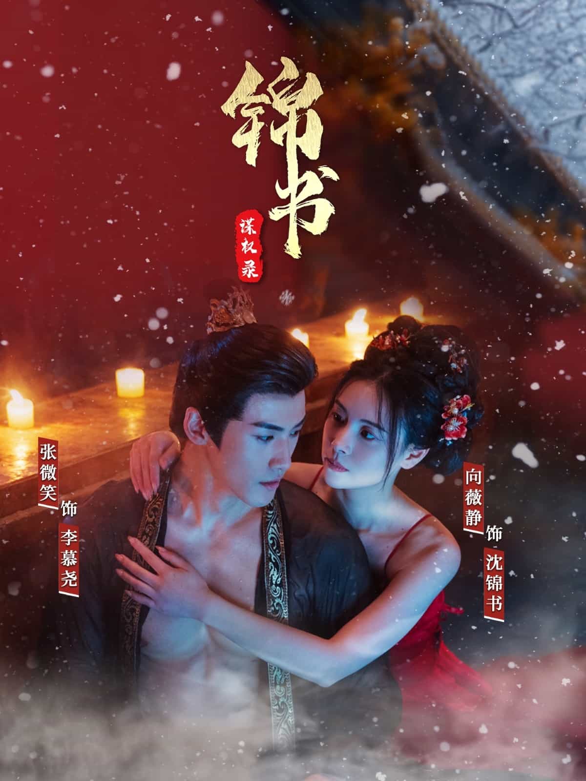 锦书谋权录海报