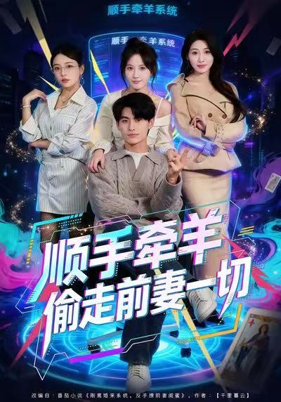 顺手牵羊偷走前妻一切海报
