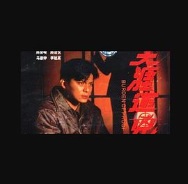 天涯追凶国语海报