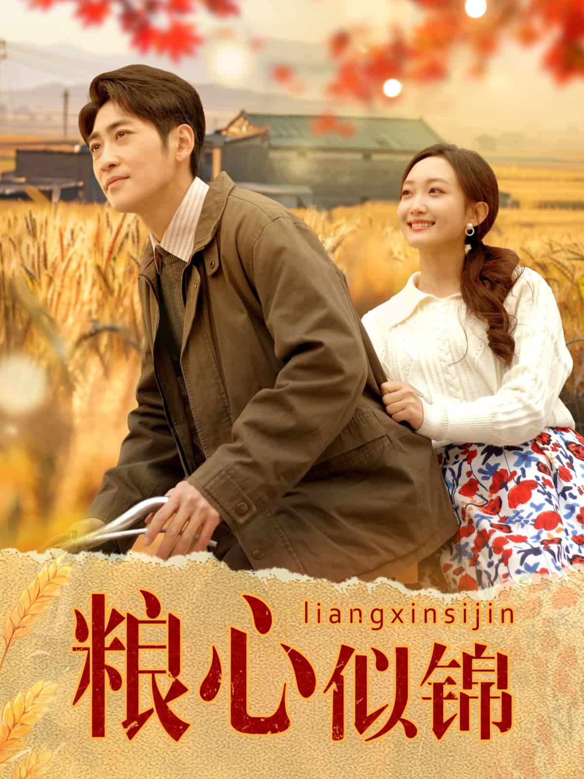 粮心似锦海报