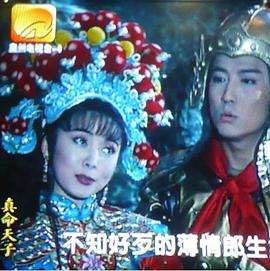真命天子海报