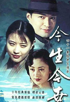 今生今世1995海报
