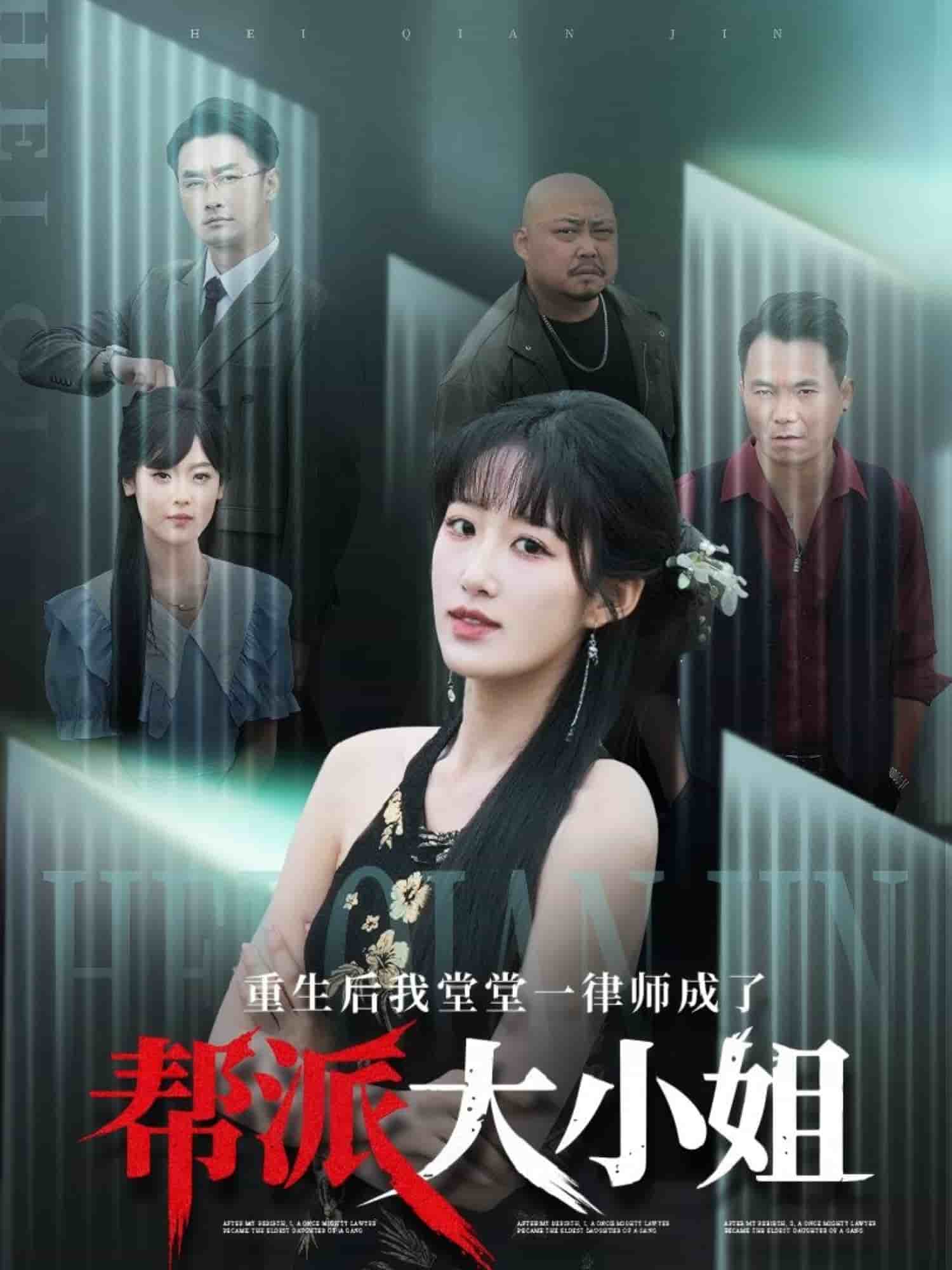 重生后我堂堂一律师成了帮派大小姐海报