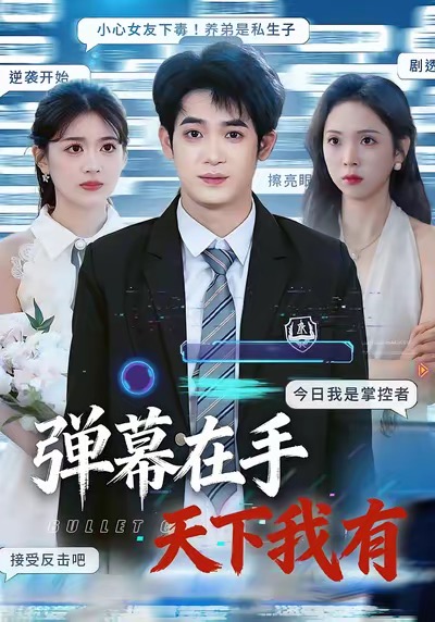 弹幕在手天下我有海报