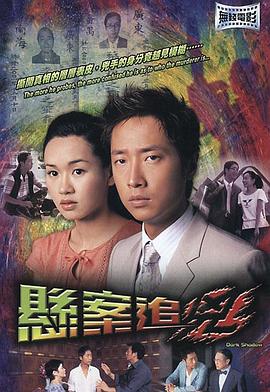 悬案追凶国语海报