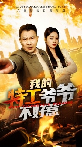 我的特工爷爷不好惹海报