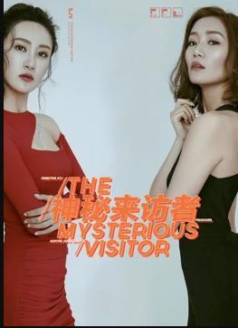 神秘来访者海报