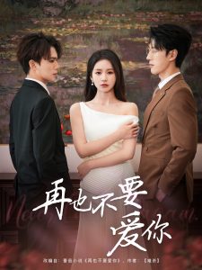 再也不要爱你海报
