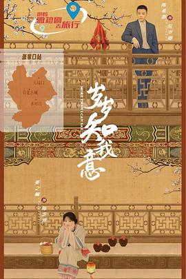 岁岁知我意海报