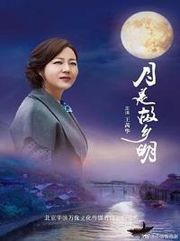 故乡无月明海报
