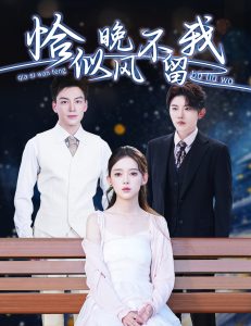 恰似晚风不留我＆弃他如风海报