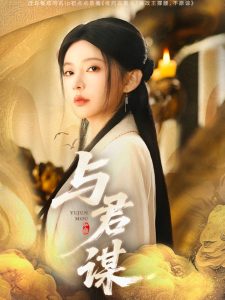 与君谋海报