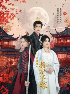 启禀陛下将军不嫁海报