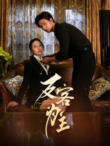 七年谜情＆反客为主海报