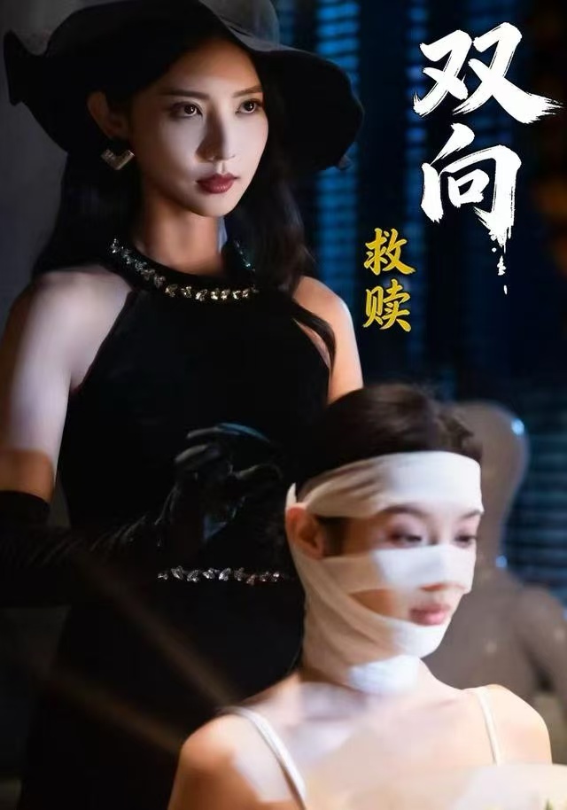 双向救赎海报