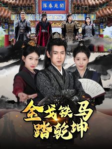 金戈铁马踏乾坤海报