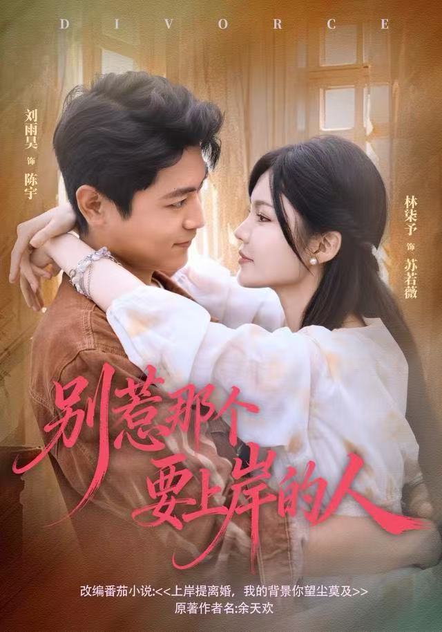 别惹那个要上岸的人海报