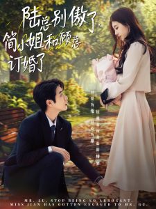 陆总别傲了，简小姐和顾总订婚了海报