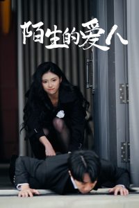 陌生的爱人海报