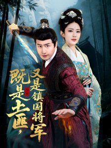 既是土匪，又是镇国将军海报