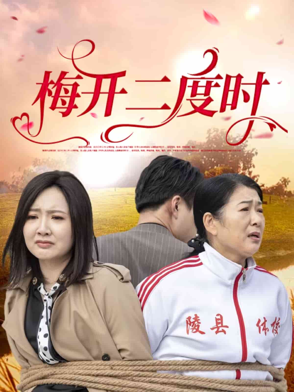 梅开二度时海报