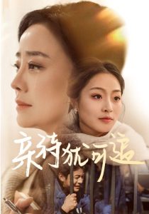 亲待犹可追海报
